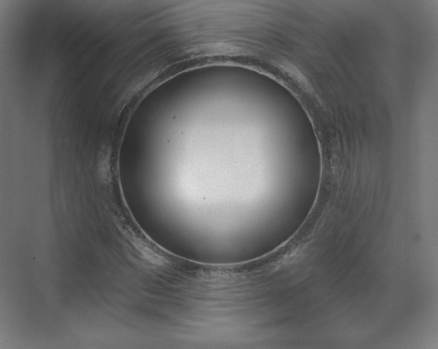 X0000070200873200606021226