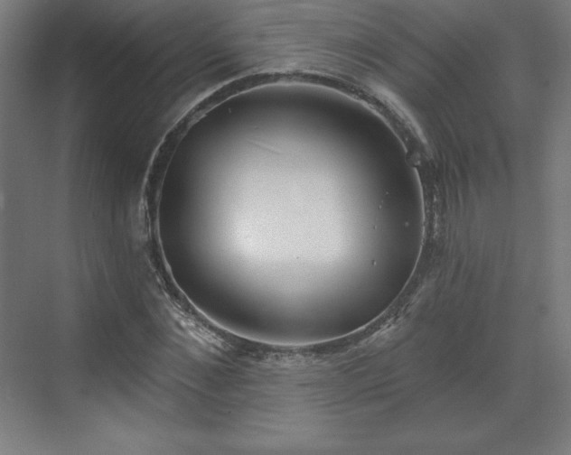X0000070200876200606021226