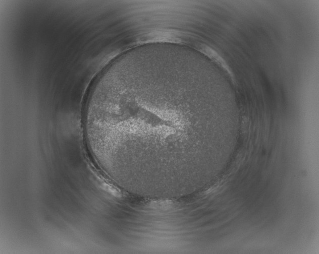 X0000070200882200606021226