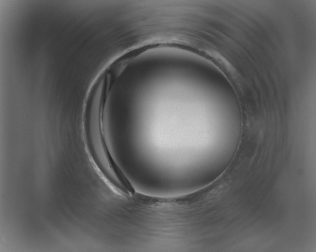 X0000070200894200606021226