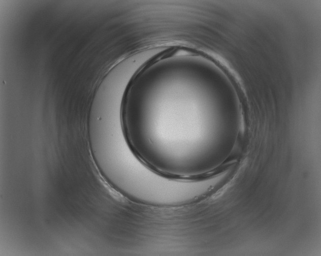 X0000070200897200606021226
