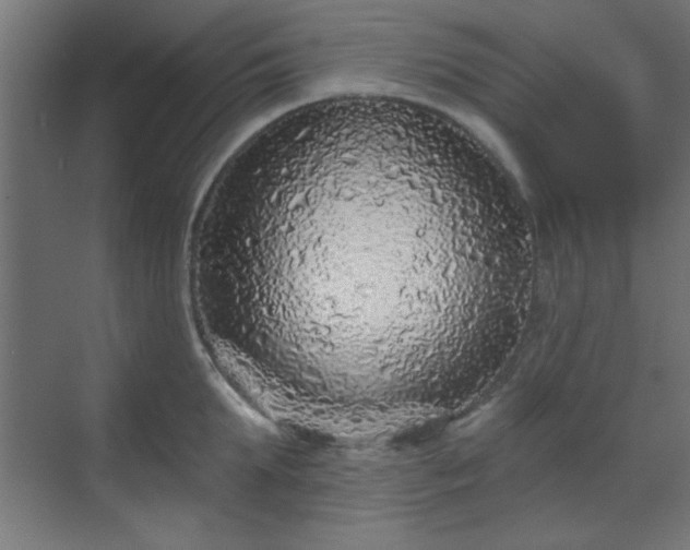 X0000070200903200606021226