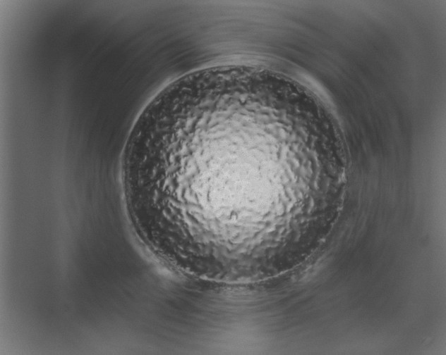 X0000070200907200606021226