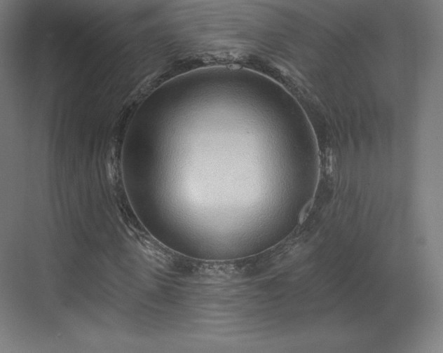 X0000070200915200606021225