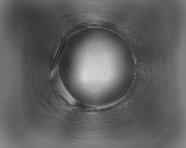 X0000070200916200606021225
