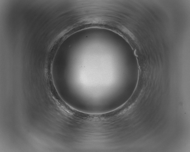 X0000070200922200606021225
