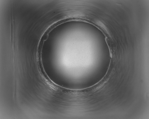 X0000070200924200606021225