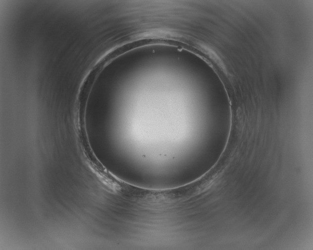 X0000070200931200606021225