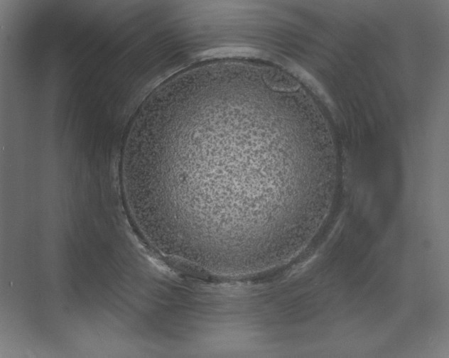 X0000070200937200606021225
