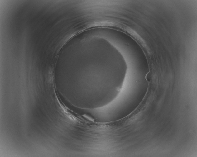 X0000070200945200606021226