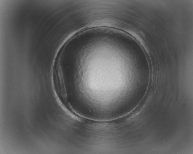 X0000070200949200606021226