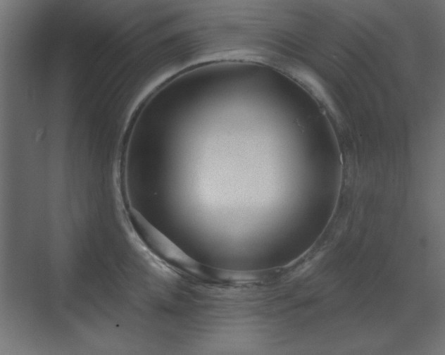 X0000070200952200606021226