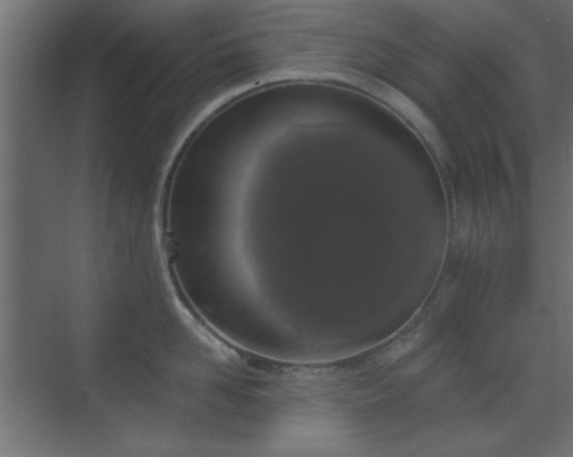 X0000070200958200606021226