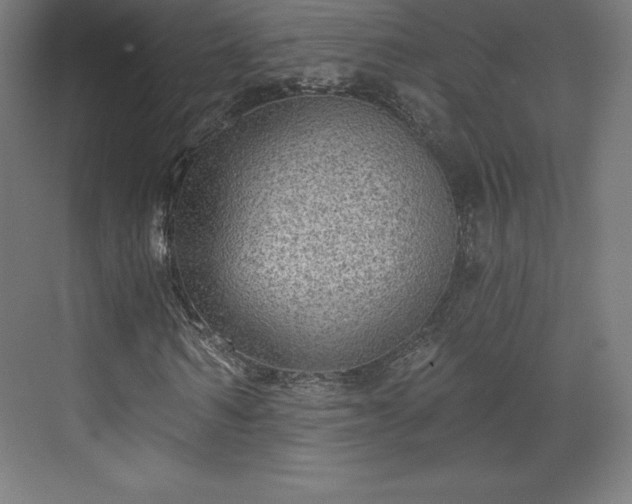 X0000070200962200606021225