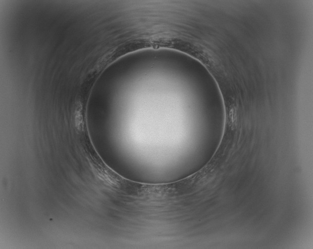 X0000070200963200606021225