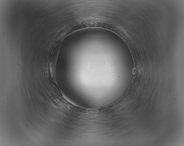 X0000070200964200606021225
