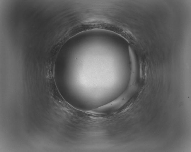 X0000070200965200606021225
