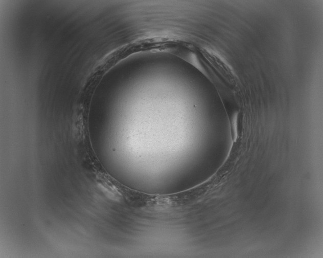 X0000070200968200606021225