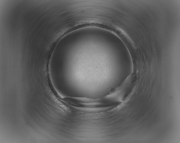 X0000070200977200606021225