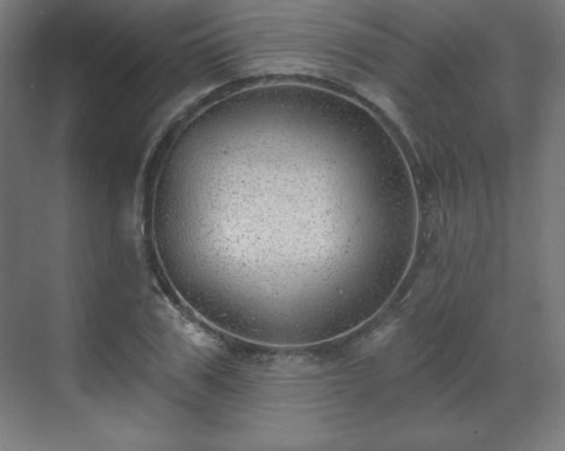 X0000070200979200606021225
