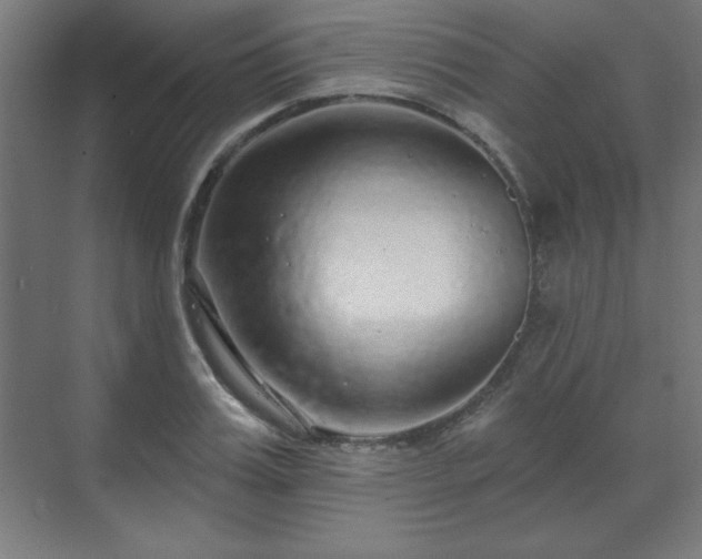 X0000070200987200606021225