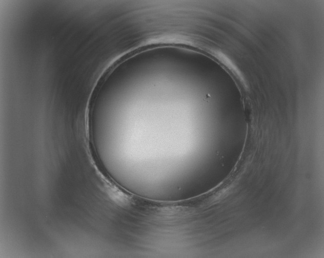 X0000070200988200606021224