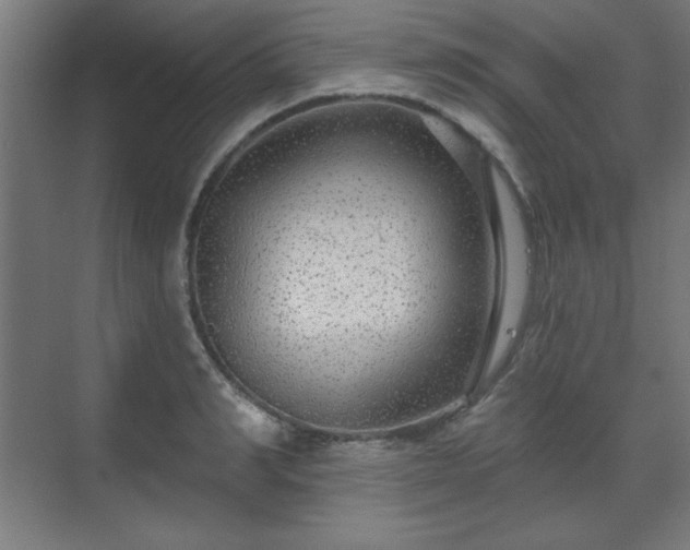 X0000070200990200606021224