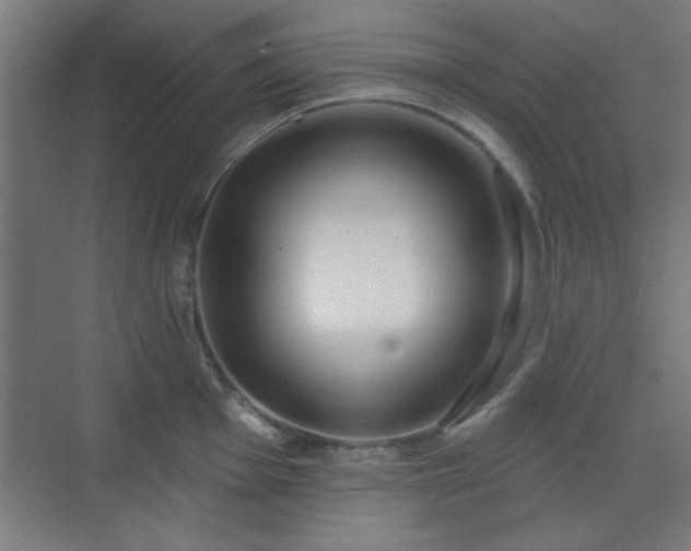 X0000070201001200606021224