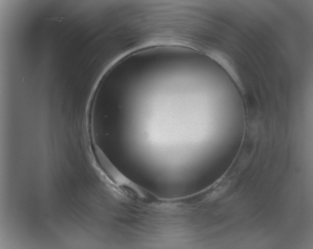 X0000070201004200606021224