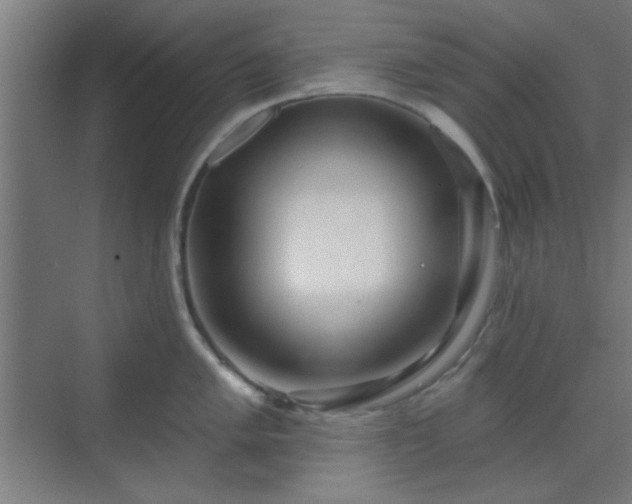X0000070201005200606021224