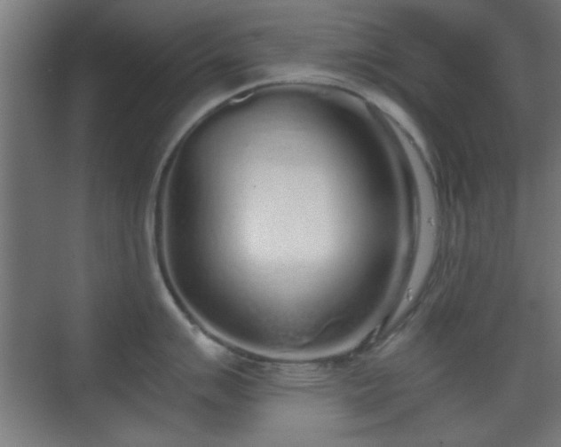X0000070201007200606021224