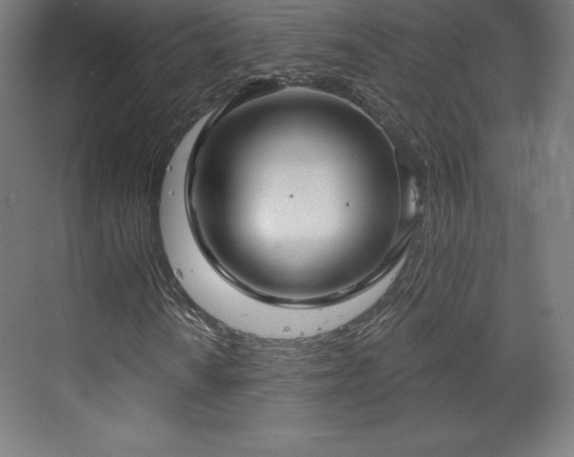 X0000070201010200606021223
