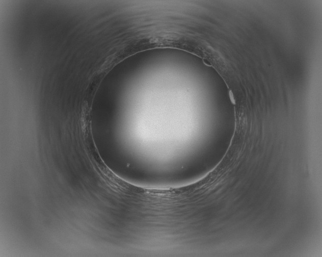 X0000070201012200606021223
