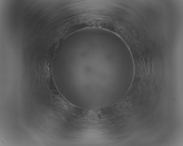 X0000070201013200606021223