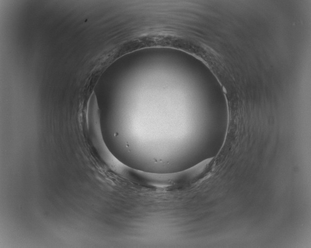 X0000070201014200606021223