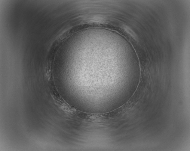 X0000070201015200606021223