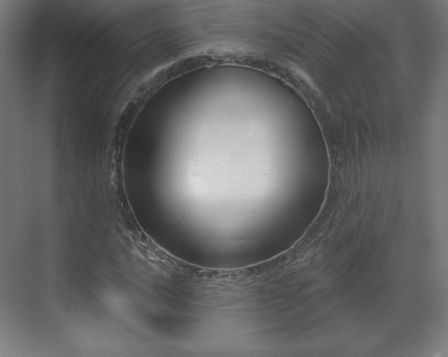 X0000070201016200606021223