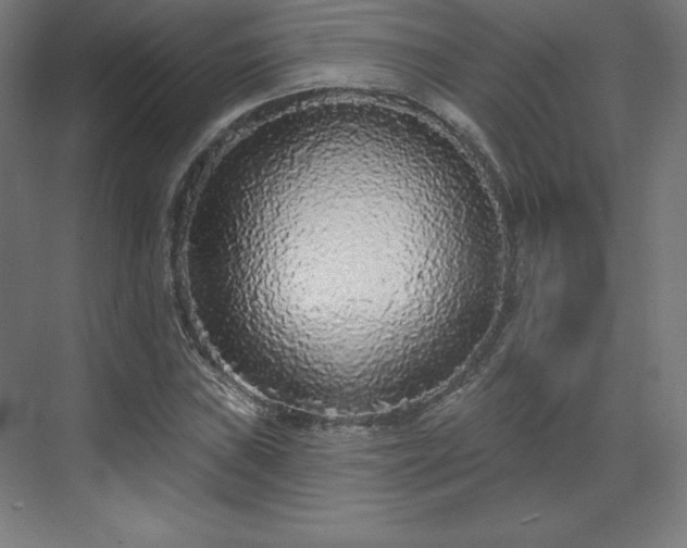 X0000070201019200606021224