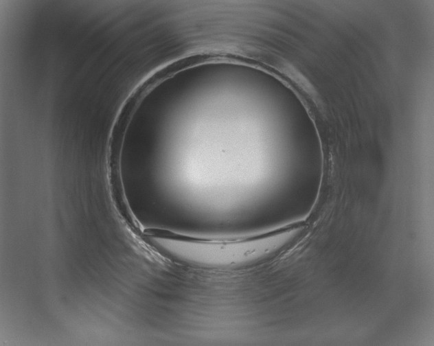 X0000070201020200606021224