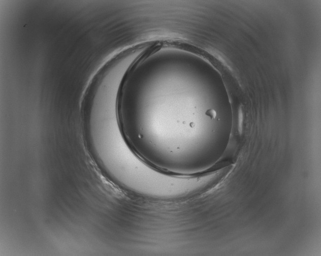 X0000070201022200606021224