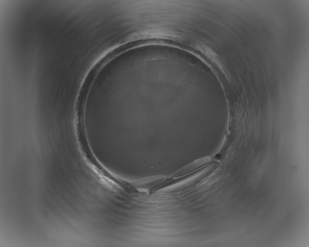 X0000070201024200606021224
