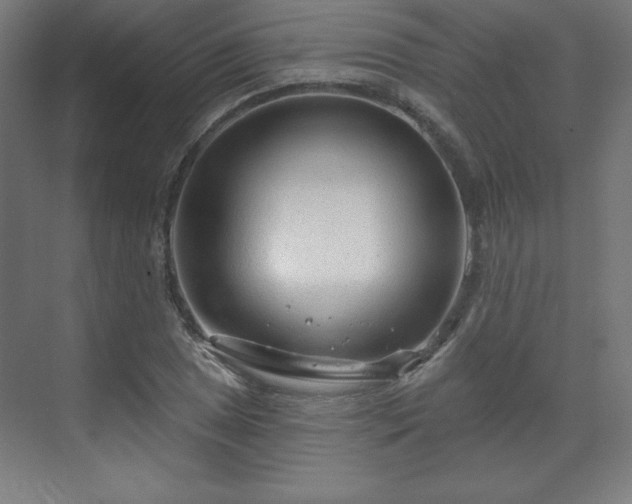 X0000070201025200606021224