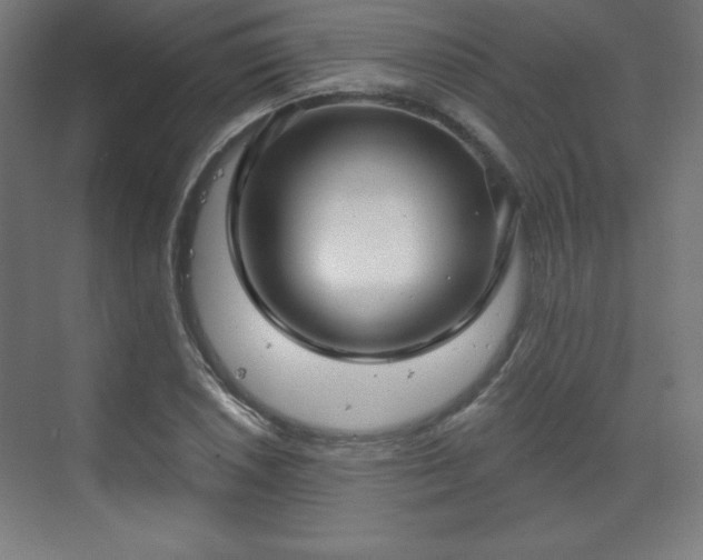 X0000070201026200606021224