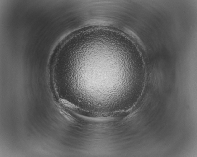 X0000070201027200606021224
