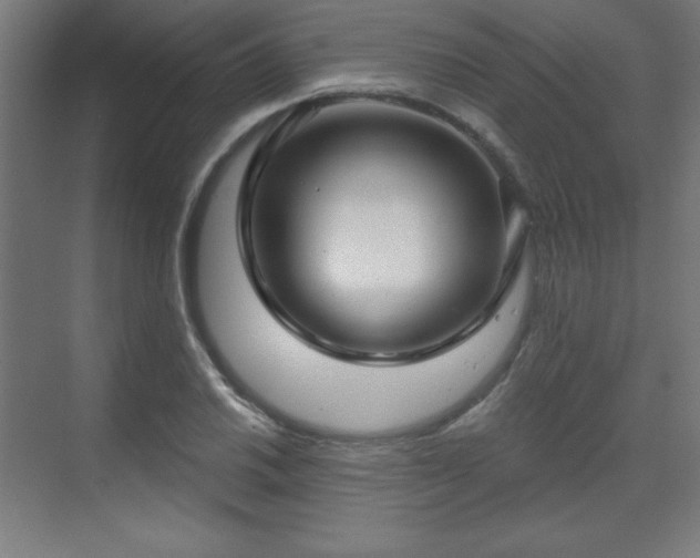 X0000070201030200606021224