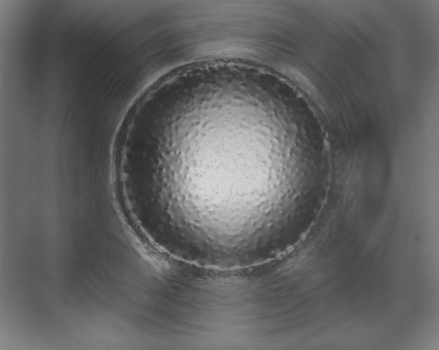 X0000070201031200606021224