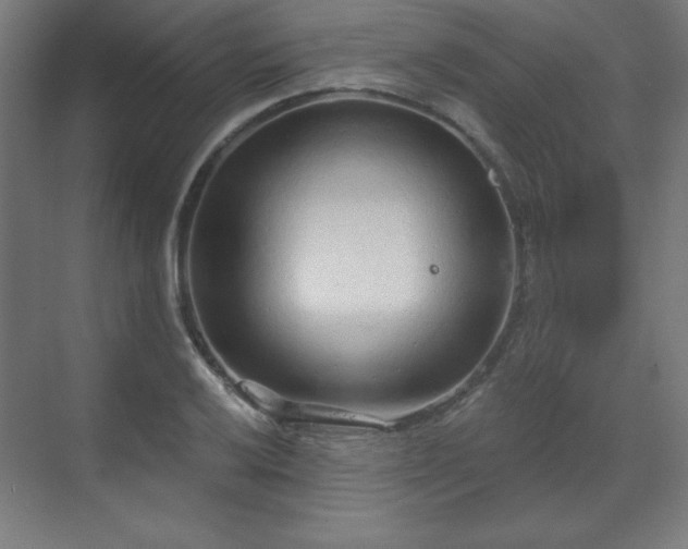 X0000070201032200606021224