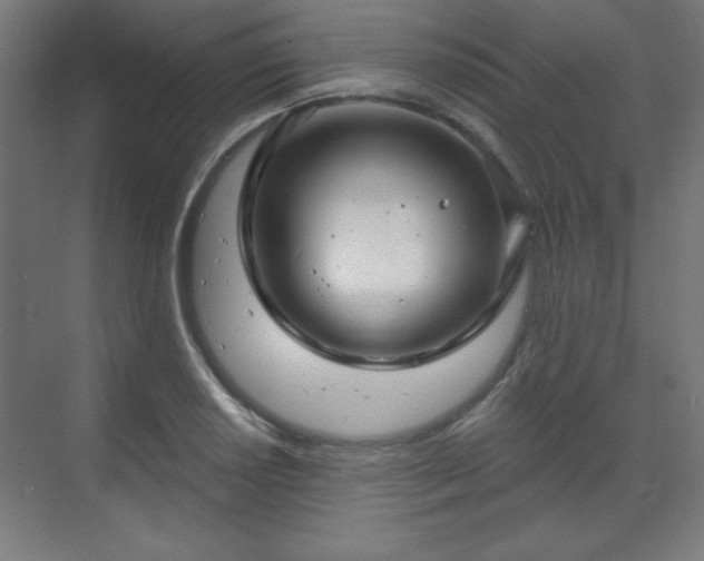 X0000070201034200606021224