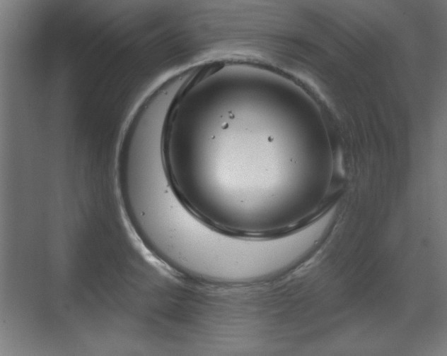 X0000070201038200606021224
