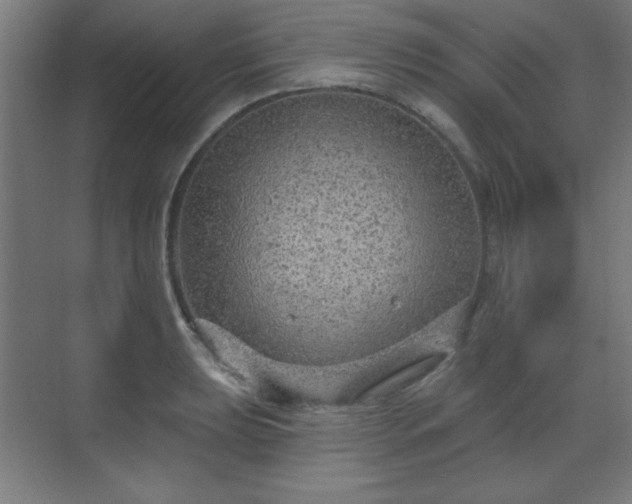 X0000070201039200606021224